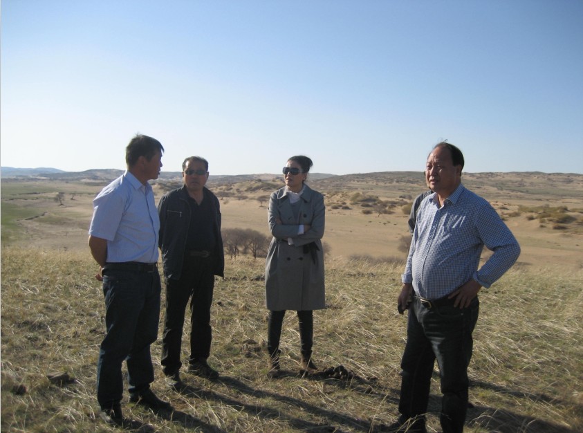 發(fā)揮資源優(yōu)勢(shì)，提高產(chǎn)業(yè)鏈競爭力——協(xié)會(huì)為企業(yè)間的合作搭建平臺(tái)