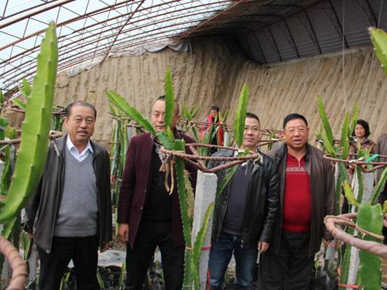 走進綠色產(chǎn)業(yè)享受健康生活