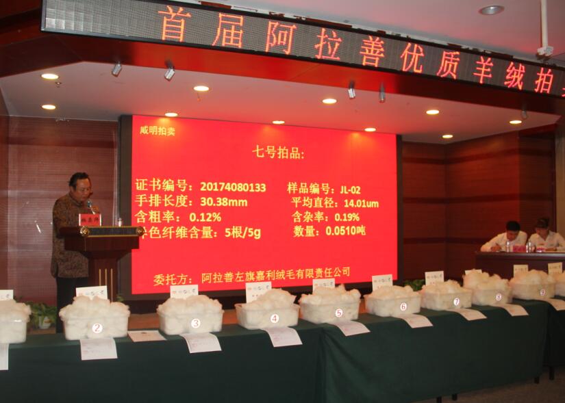 創(chuàng)新引領(lǐng)未來，品質(zhì)鑄就輝煌 首屆阿拉善優(yōu)質(zhì)羊絨拍賣會盛大舉行